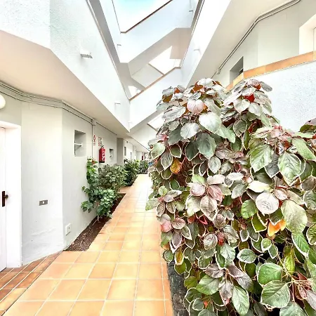 With Wifi, Pool, A 600m From Los Cristianos Beach In Tenerife